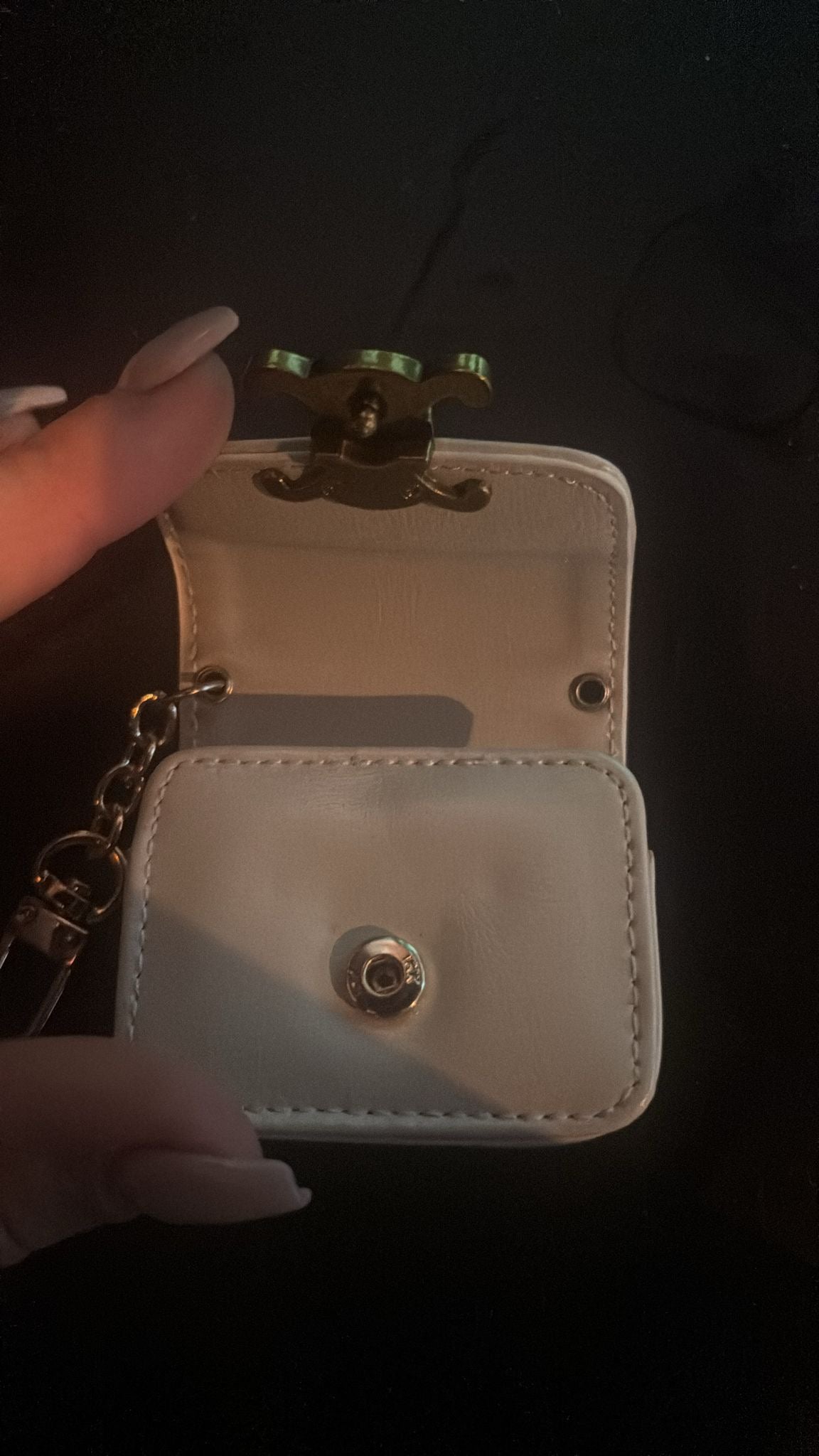 ETUI pour airpods en cuir CELINE